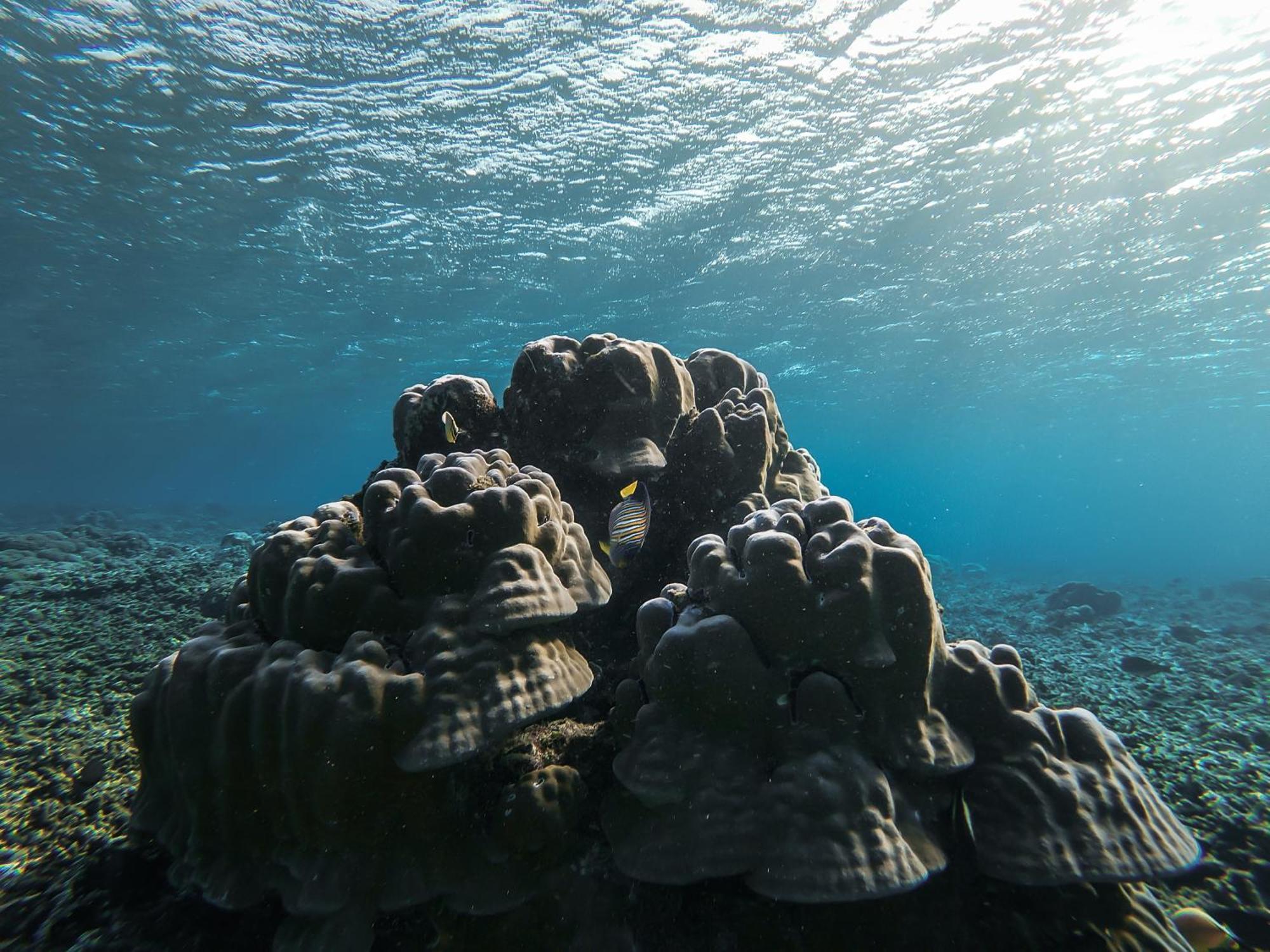 Menjaga Bay 호텔 라부안 바조 외부 사진